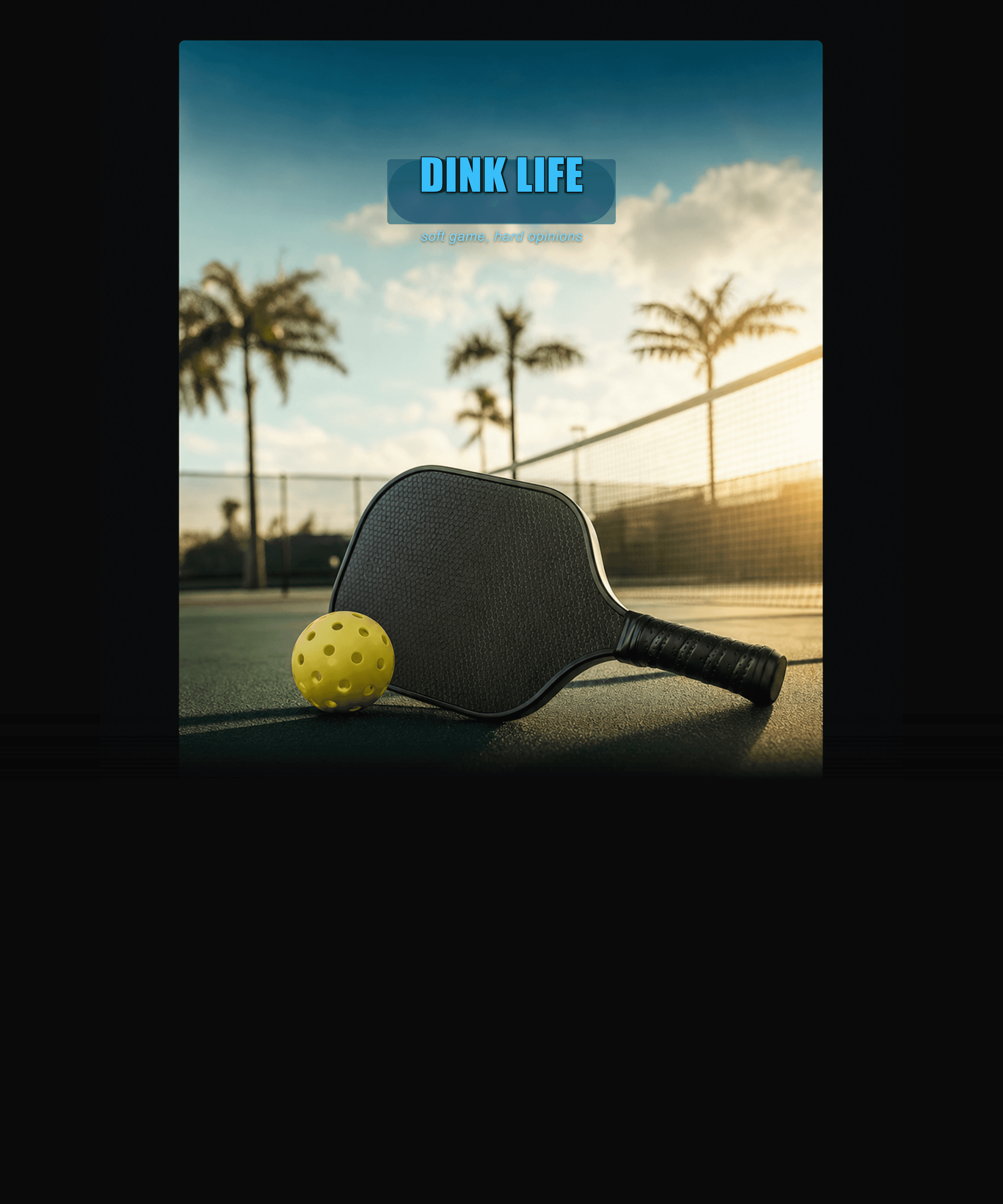 DINK LIFE